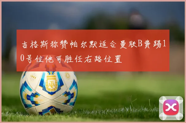 吉格斯称赞帕尔默适合曼联B费踢10号位他可胜任右路位置