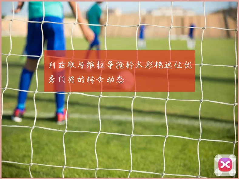 利兹联与维拉争抢铃木彩艳这位优秀门将的转会动态