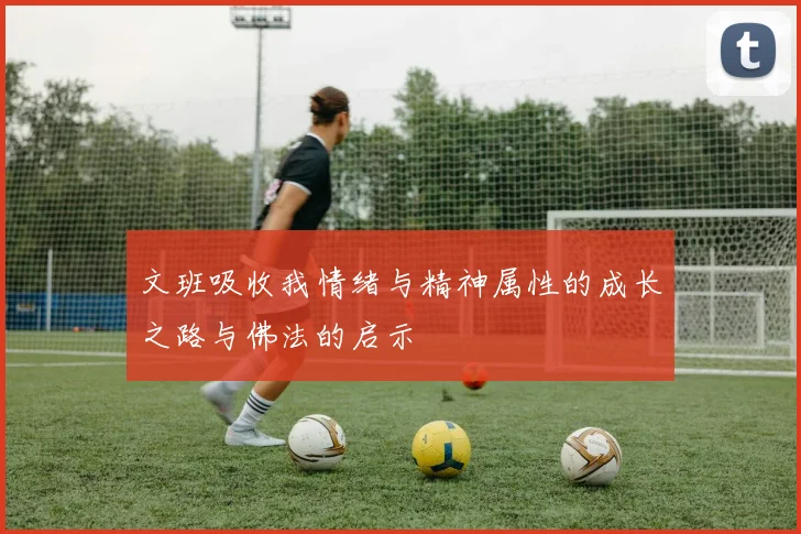 文班吸收我情绪与精神属性的成长之路与佛法的启示